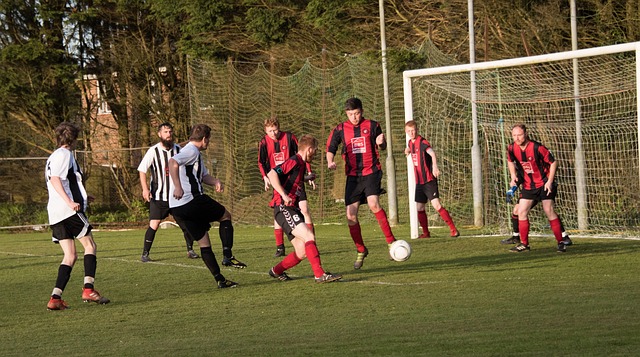 奥运会男篮12强名单出炉